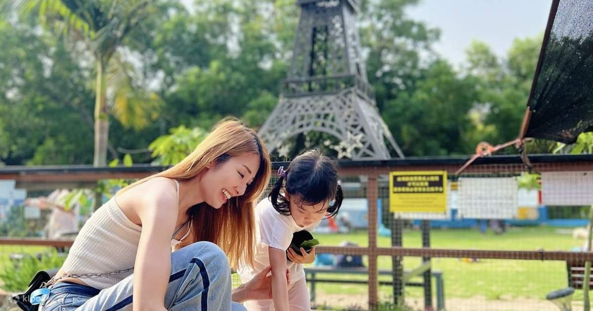 [Parentchild activity] Yuen Long Little White Rabbit Farm Bunny